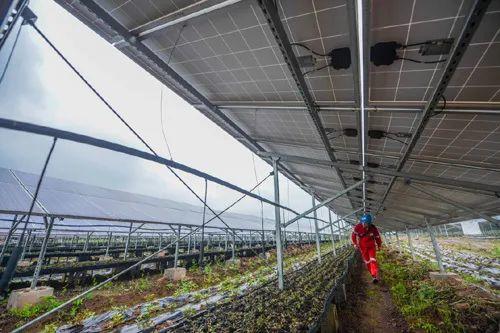 中國十三省最大光伏電站在這里！欽州康熙嶺的光伏電站能排上號了嗎？